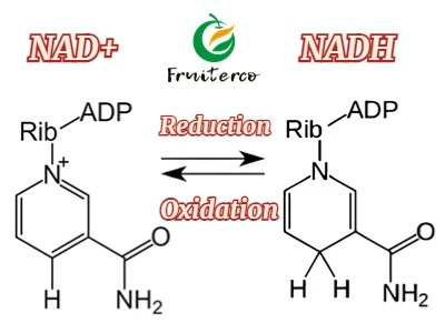 NAD NAD